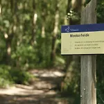 6-guest In Casa de Férias *