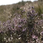 6-guest In Casa de Férias Mook