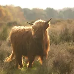 Casa de Férias 6-guest In Mook