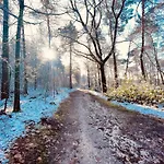 6-guest In Casa de Férias